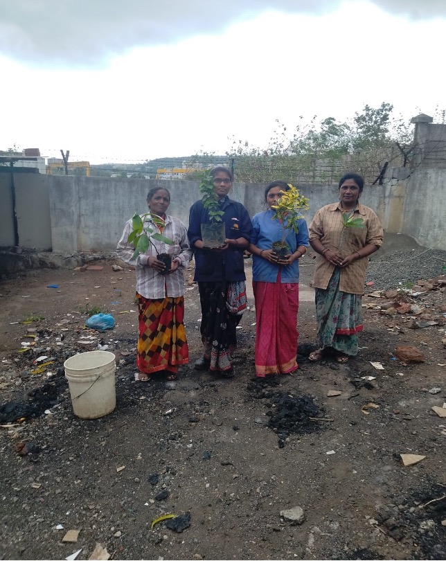 Tree Plantation Drive